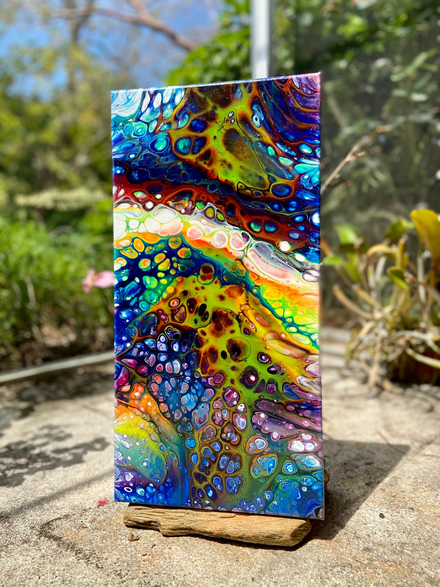 10x20