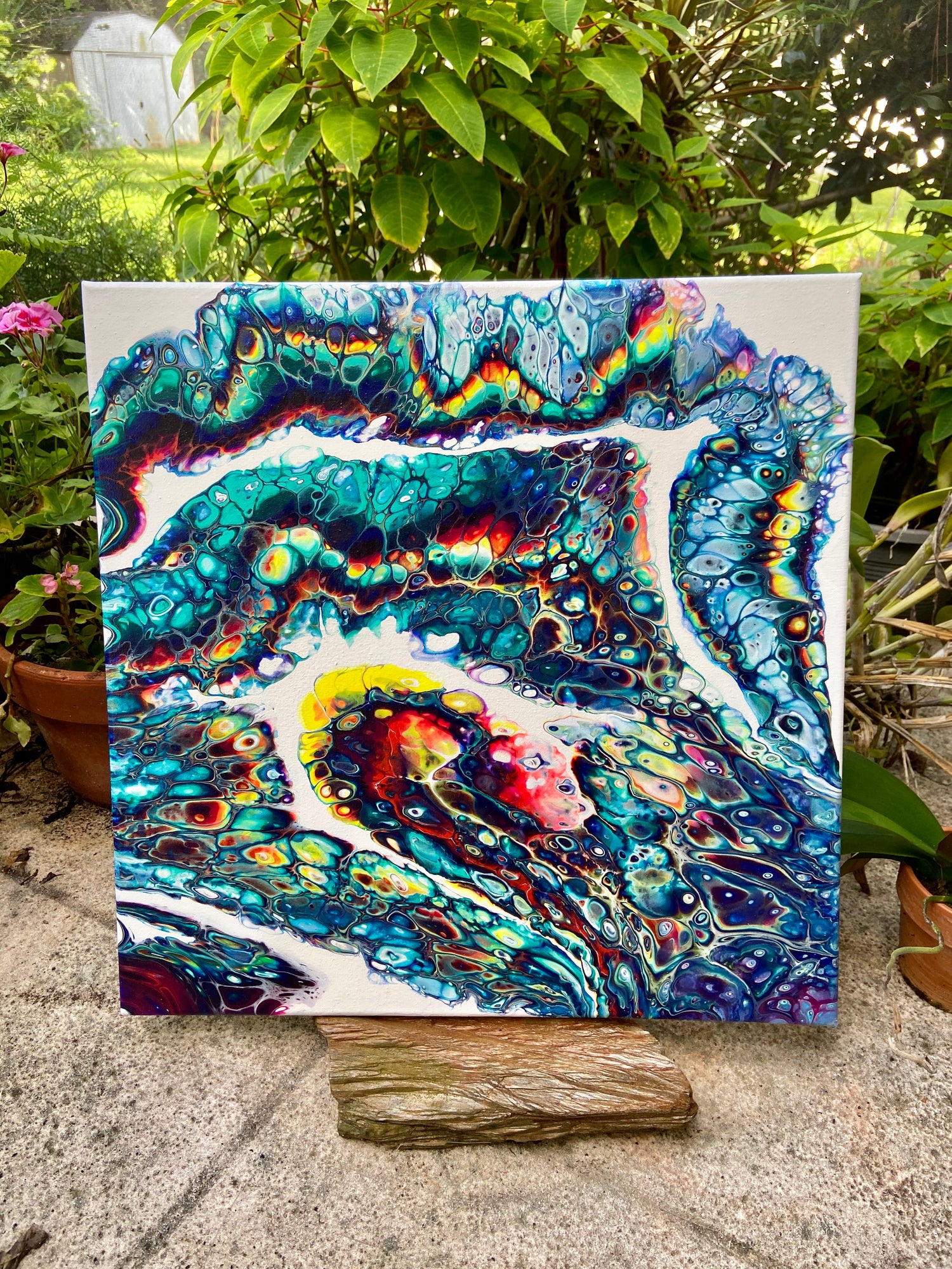 20x20