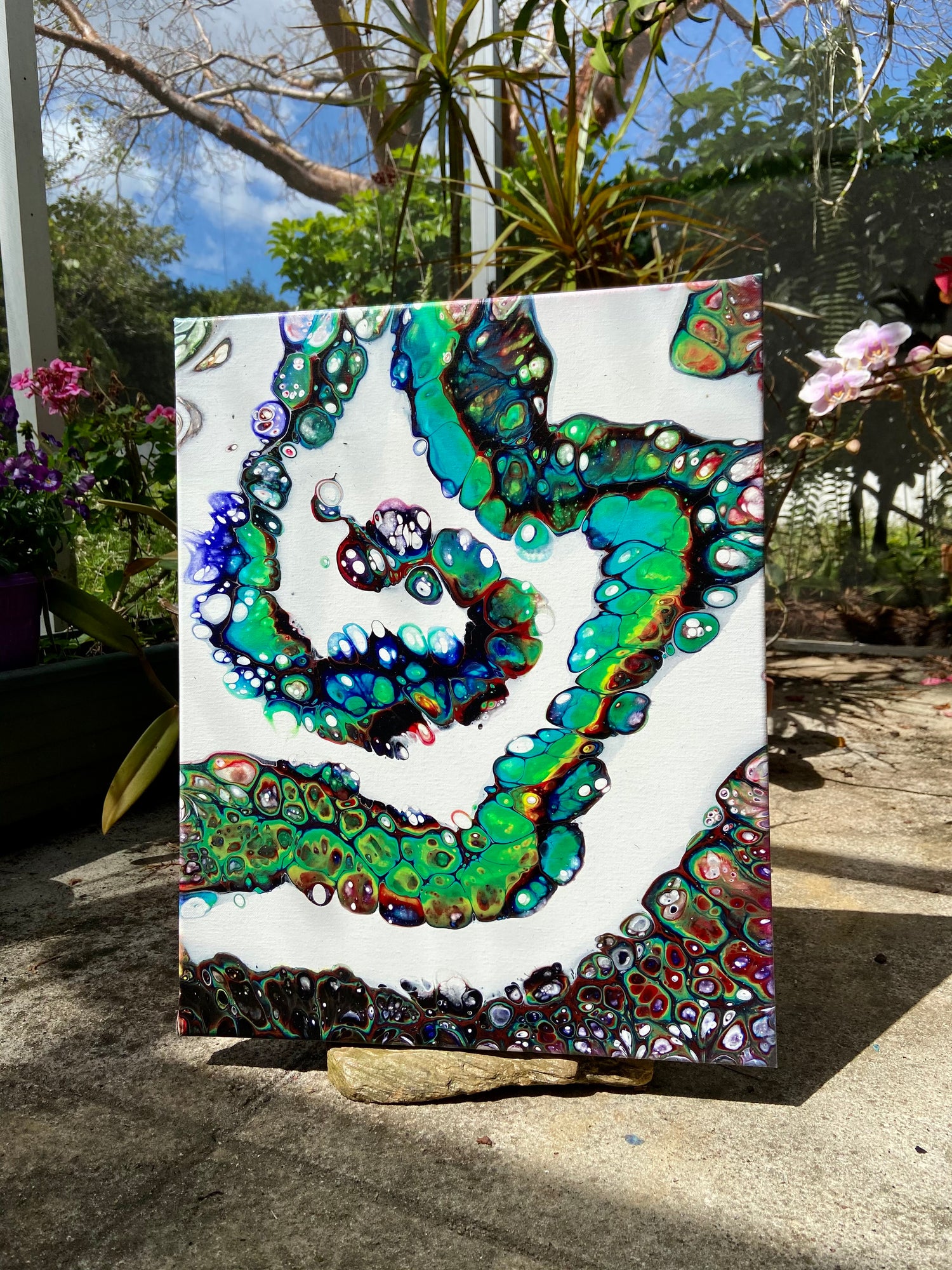 16x20