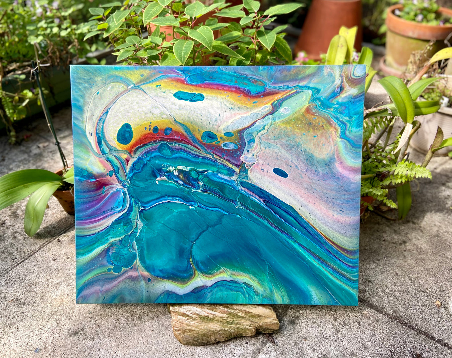 20x24